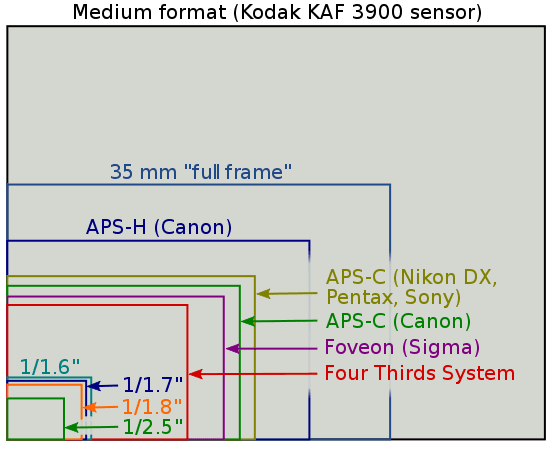 550px sensor sizes