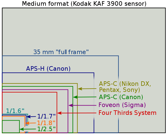 550px sensor sizes
